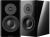 Dynaudio Focus 20 XD High-performance speakers color image