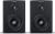 Dynaudio Xeo 2 Wireless Bookshelf Speakers with audiophile sound - Pair color image