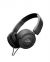 JBL T450 Headphone with Mic color image