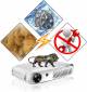 Egate X12 Android 3D DLP HD Compact Size Portable Projector image 