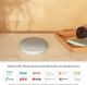 Google Home Mini Smart Assistant Bluetooth Speaker image 
