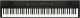 Korg Liano 88-Key Digital Piano image 