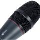 Sennheiser E 865 S Super Cardioid Lead Singer Microphone image 