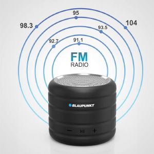 blaupunkt portable speaker bt01