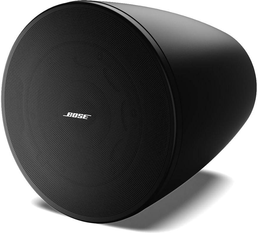 Bose DesignMax DM6PE speaker zoom image