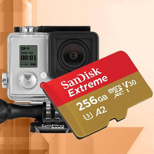 Sandisk Micro Sd 256 Gb Memory Card at Rs 930/piece